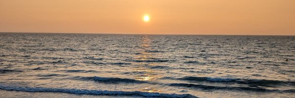 plnpnnh Profile Banner