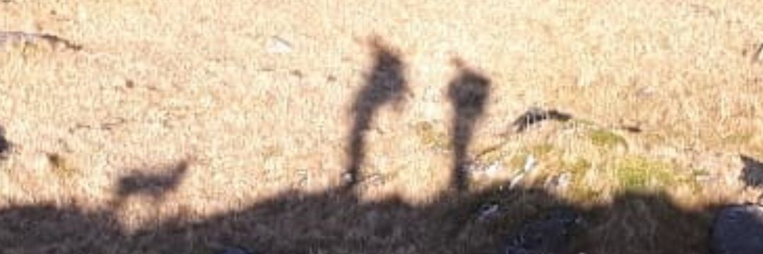 mrmattgeorge's profile banner image