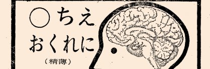 TDN48's profile banner image