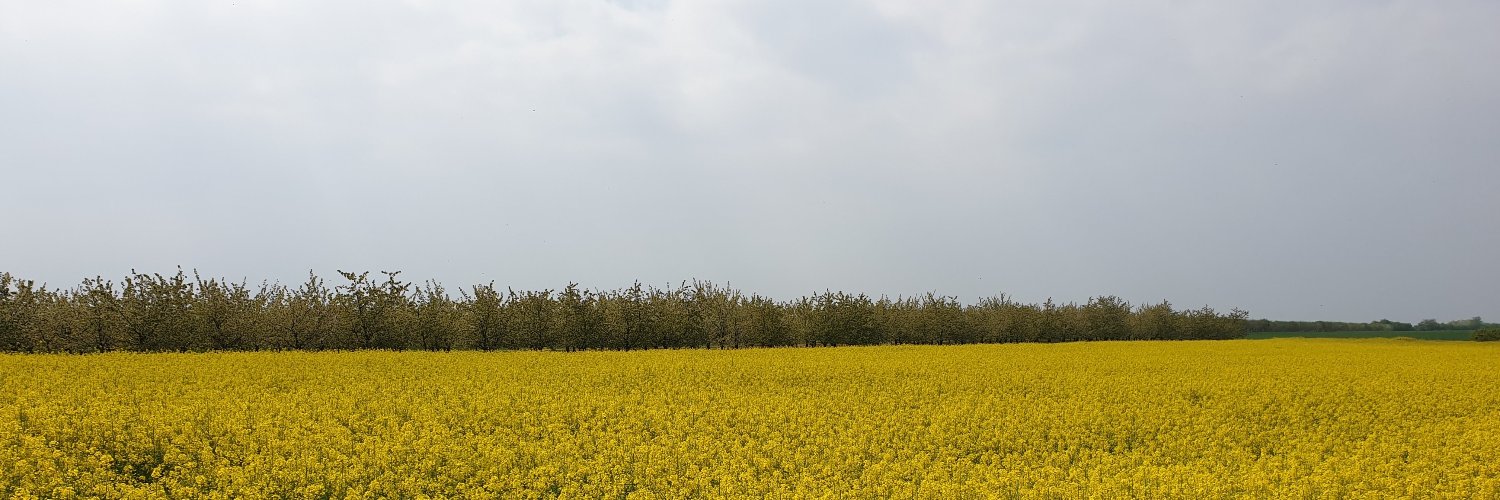 siegerjo's profile banner image