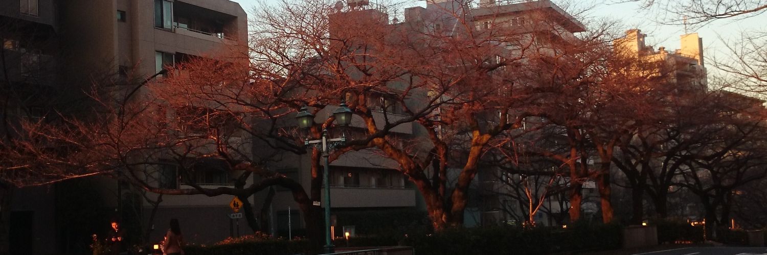 コロモアイ banner