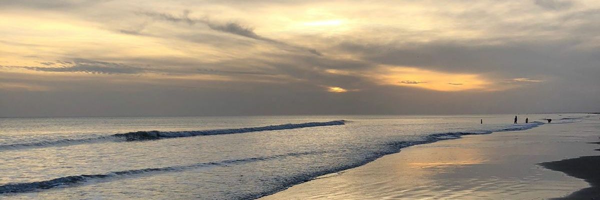 caami_martinez1's profile banner image
