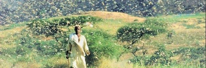 LSevak's profile banner image