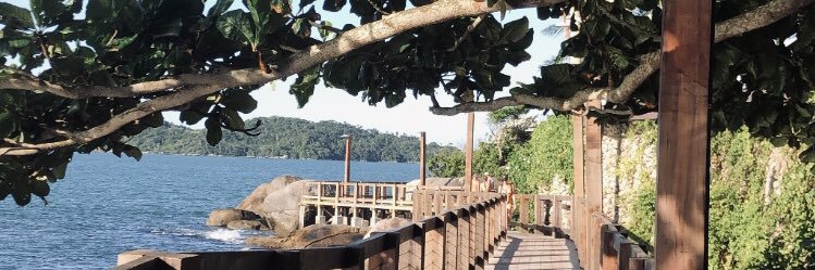 FarkasMilagros's profile banner image