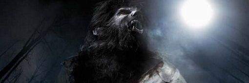 Ruun_Wolf17's profile banner image