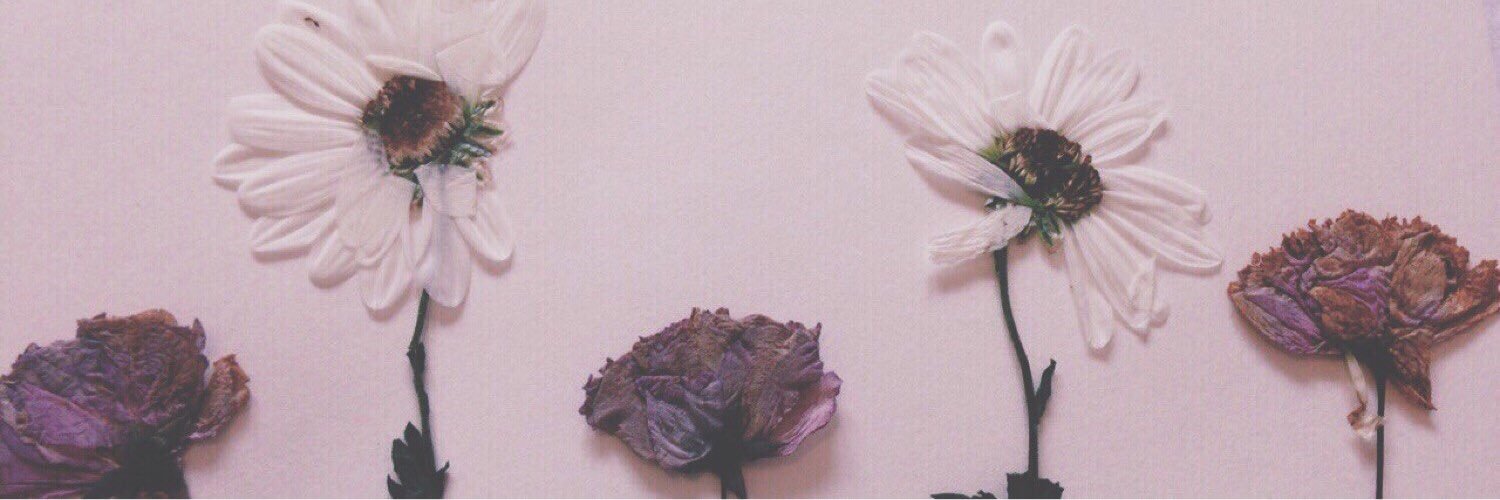 EDDI1D's profile banner image