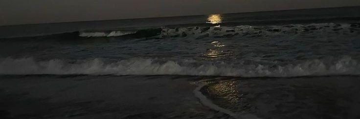 Fatima_12830's profile banner image