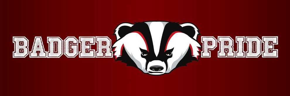 Beebe Badger Baseball banner