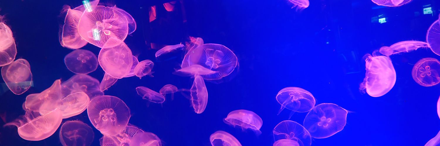 みーチャン banner