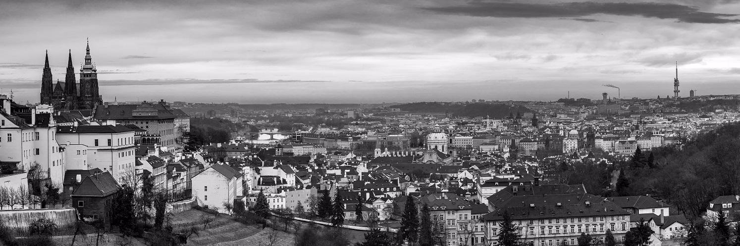 Michal Mládek banner