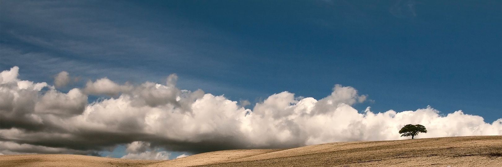 jabani's profile banner image
