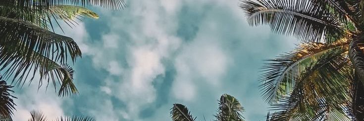 did🍌 banner