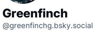 Greenfinchg Illustrations 🪶 banner