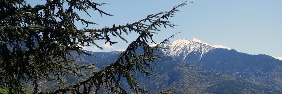 AJ Vickers (48.1%) banner