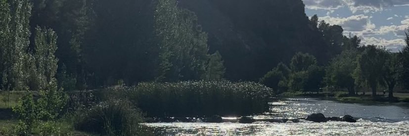 difoa's profile banner image