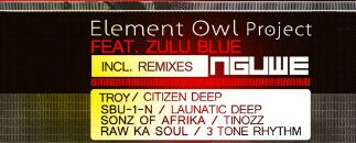 Element_Owl's profile banner image
