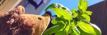 chiruko_h's profile banner image