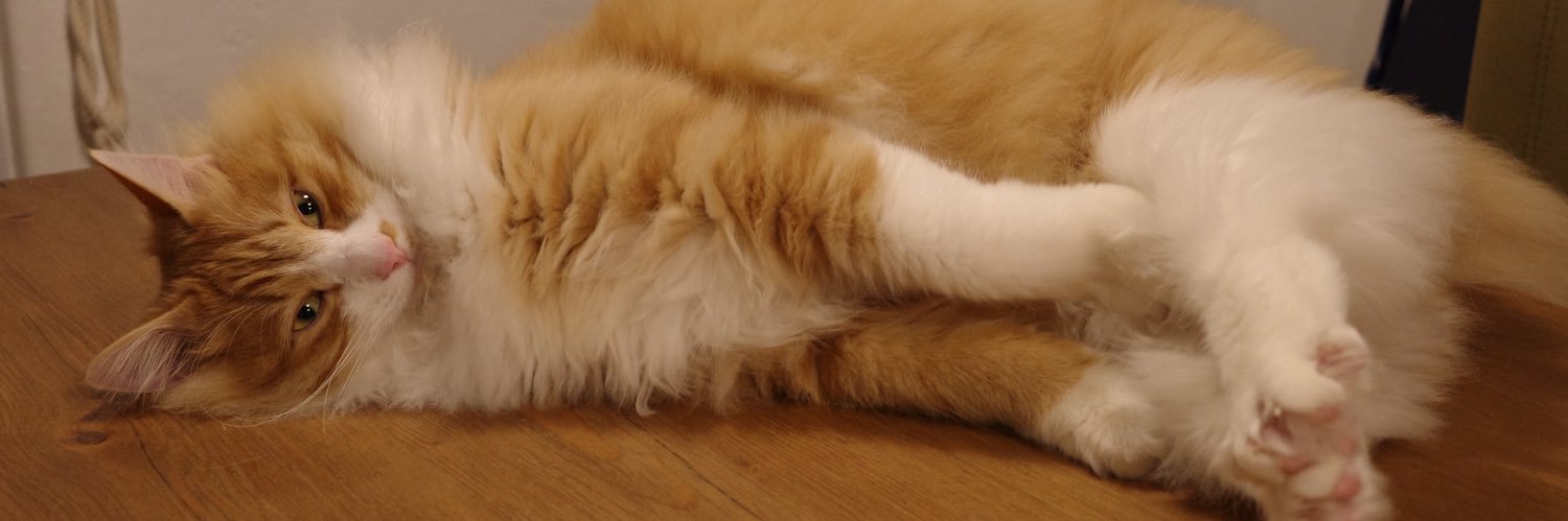 s0u0s's profile banner image