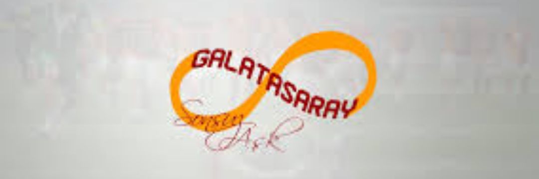 S_Kostakoglu's profile banner image