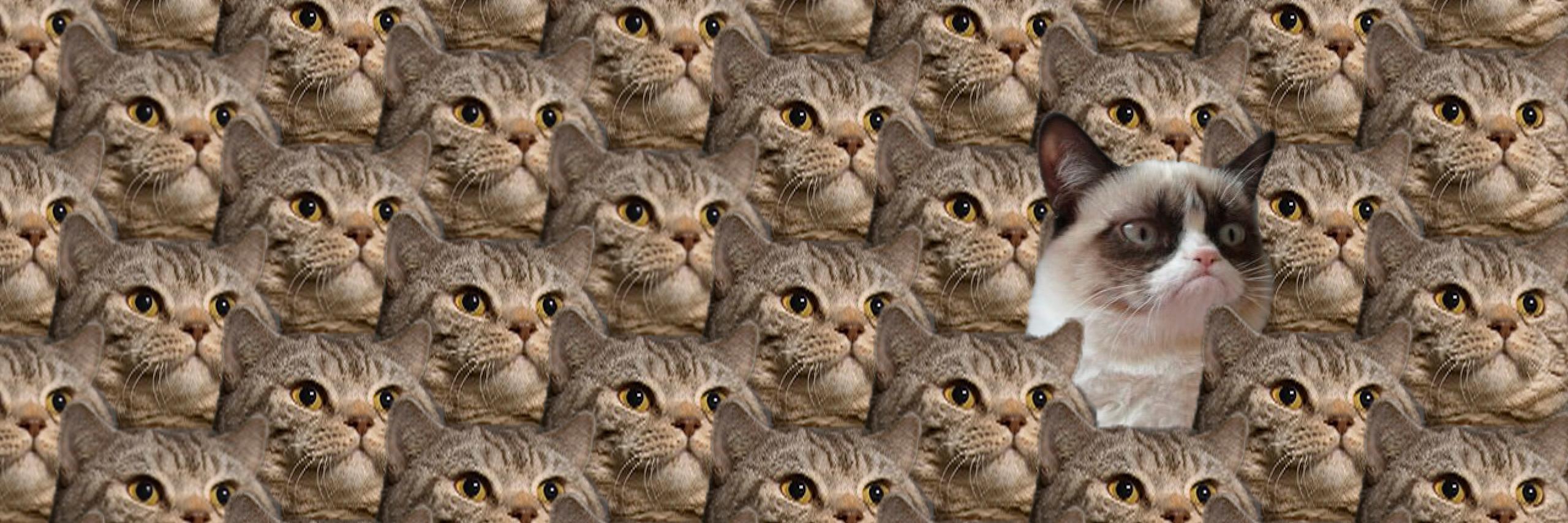 mxwllt's profile banner image