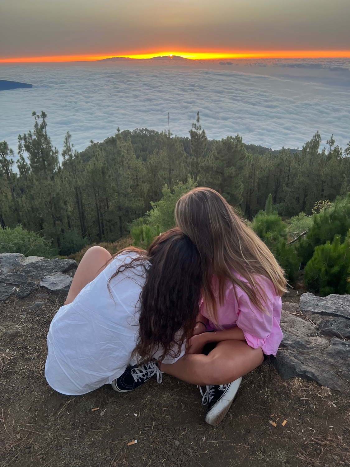 NataliiaAlonso's profile banner image