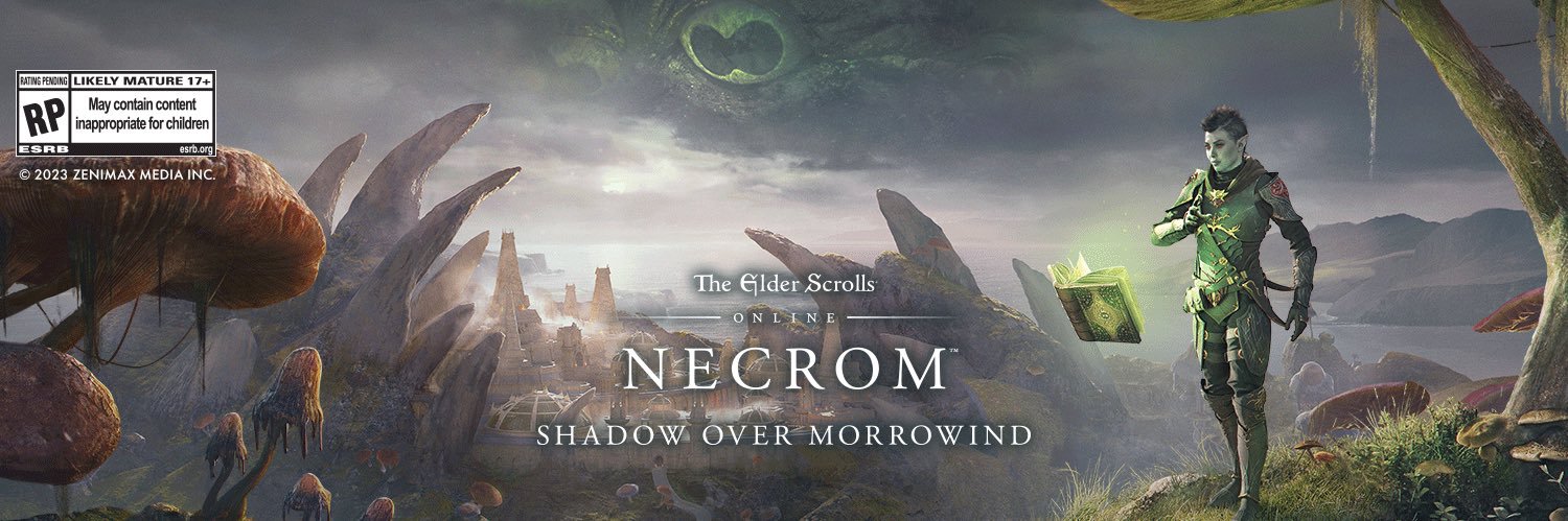 annelibergman's profile banner image