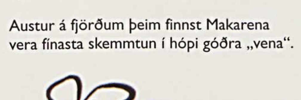 Steinþór Helgi banner