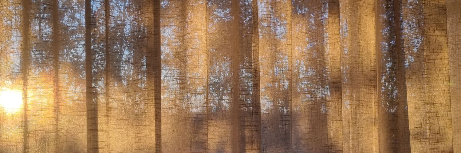 Inés Valencia banner