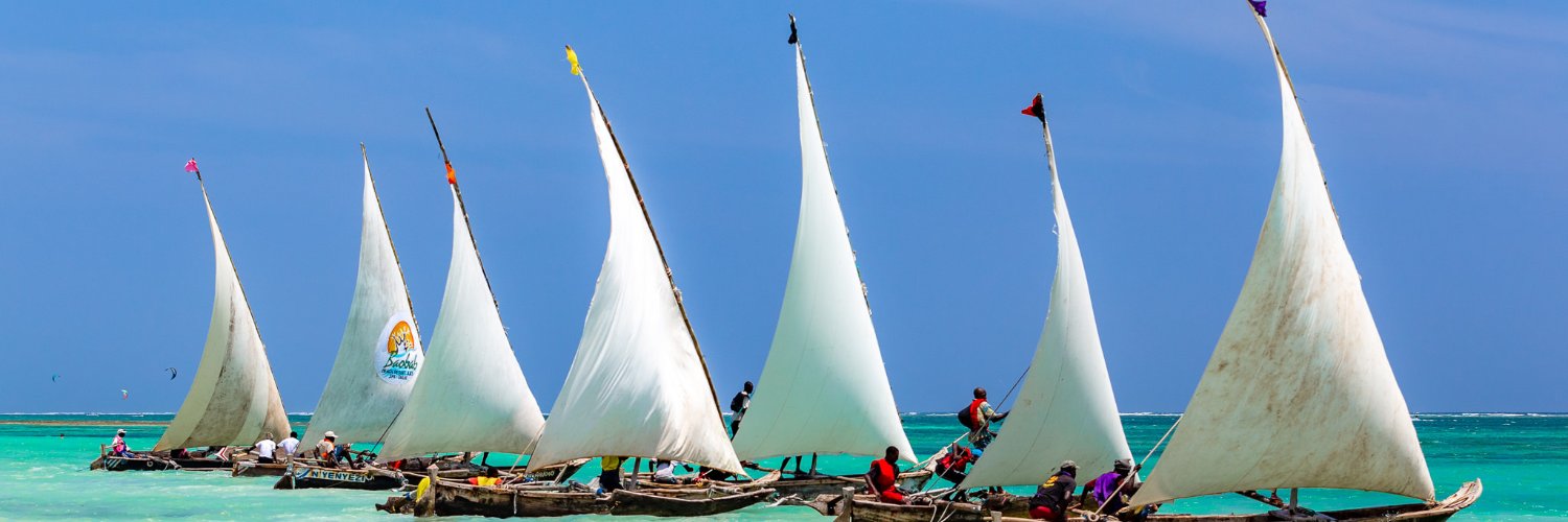 DianiRegatta's profile banner image