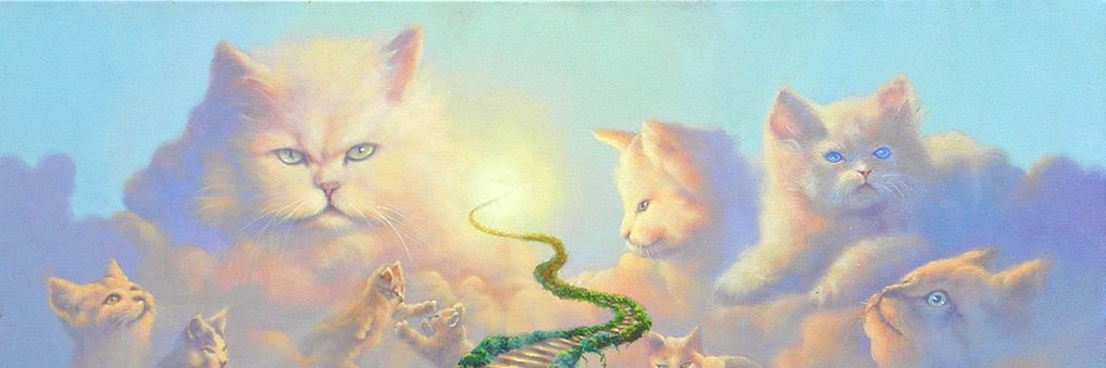 POCO DROM 💖🎉🌈🐿️🌈🎉💖 banner