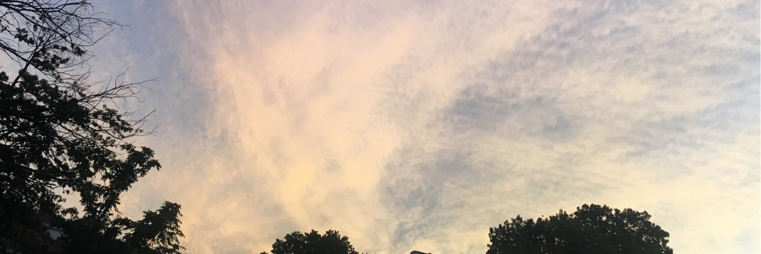 sigler_raysa's profile banner image