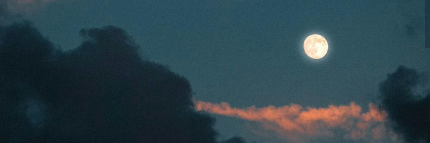 obviouslytara's profile banner image