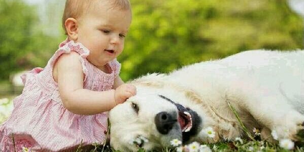 Jothishankaran1's profile banner image