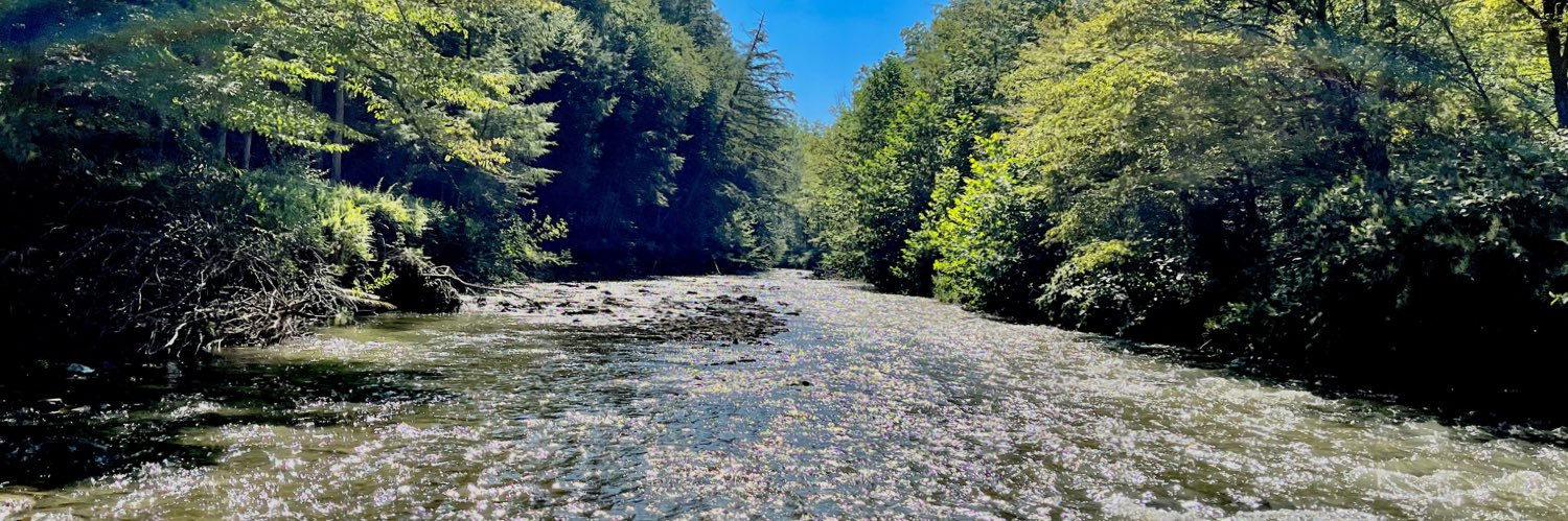 SafeMoon Tim🚀 banner