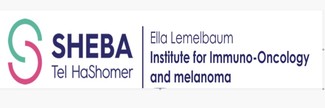 lemelbaum's profile banner image