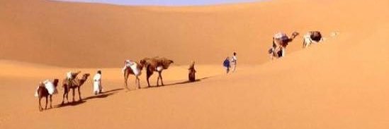 القريشي banner