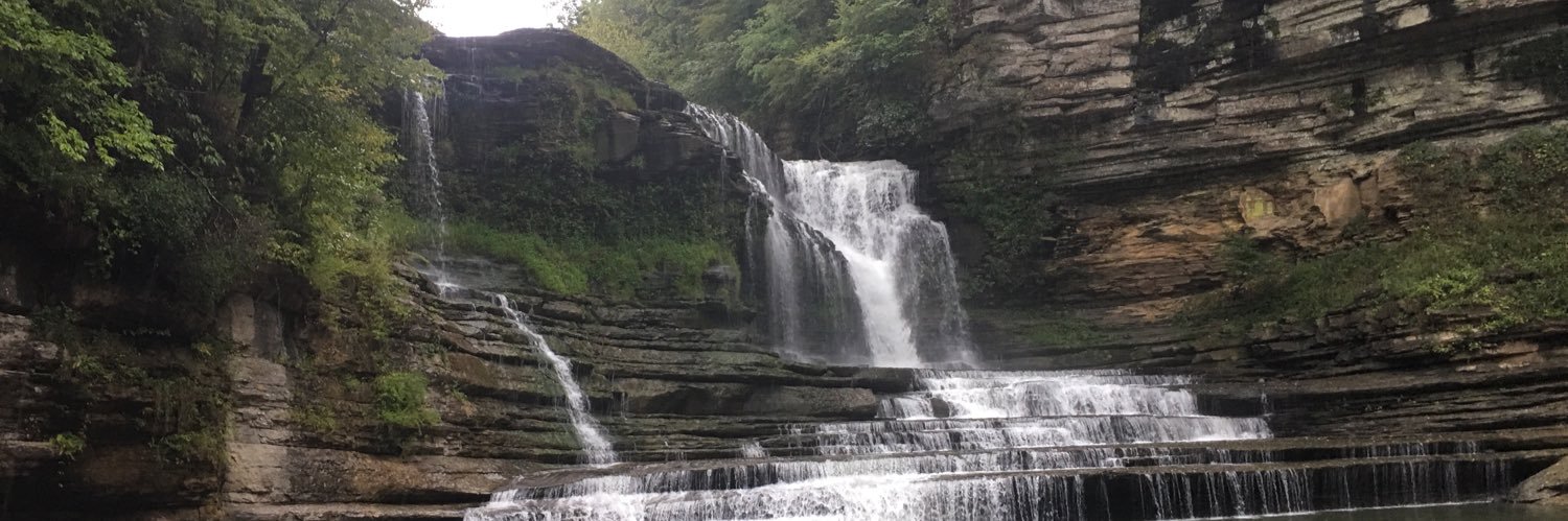 SomeWiggleRoom banner