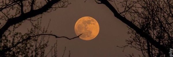 astrestoile Profile Banner