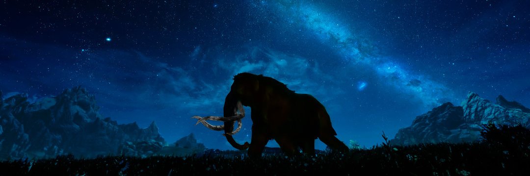 DiMammuthus's profile banner image