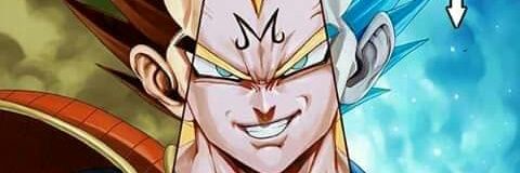 ssj2sonvegeta's profile banner image