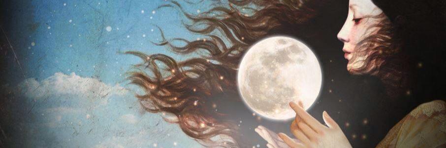 Rosa de los vientos banner