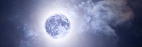 mo00onali's profile banner image
