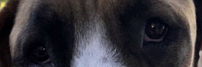 ThisIsBen96's profile banner image