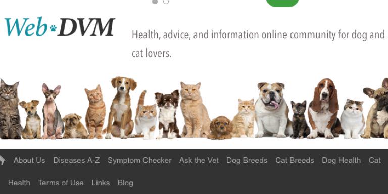 TheWebDVM's profile banner image