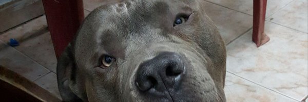 omarpy20 Profile Banner