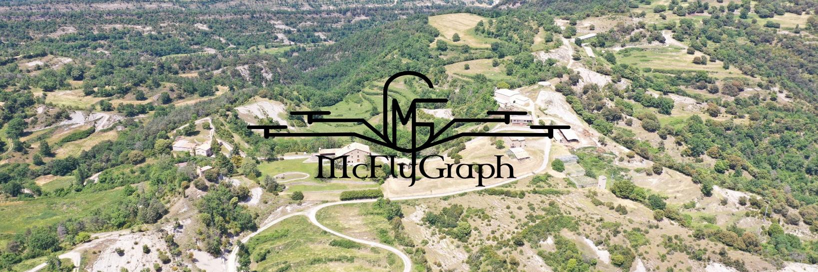 McFlyGraph banner