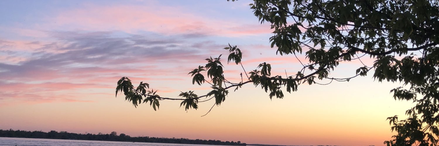 _biancama's profile banner image