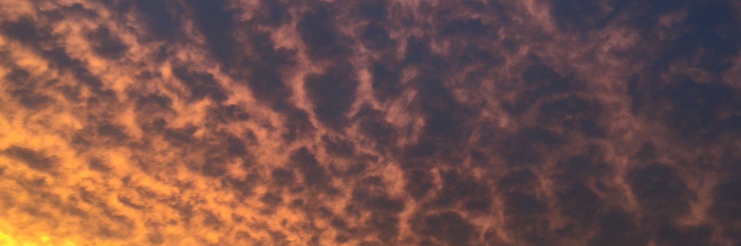 pongero2000's profile banner image