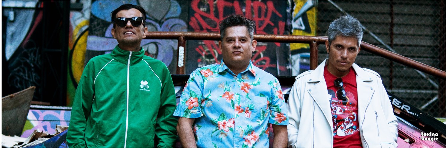 Toxina Boogie banner