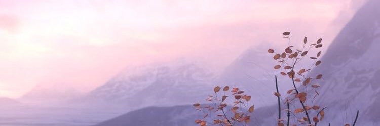 danufes's profile banner image